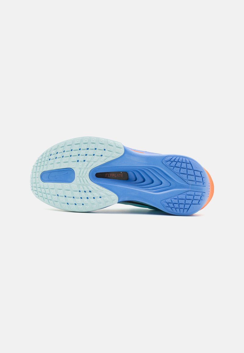 Nike Zoom Fly 6