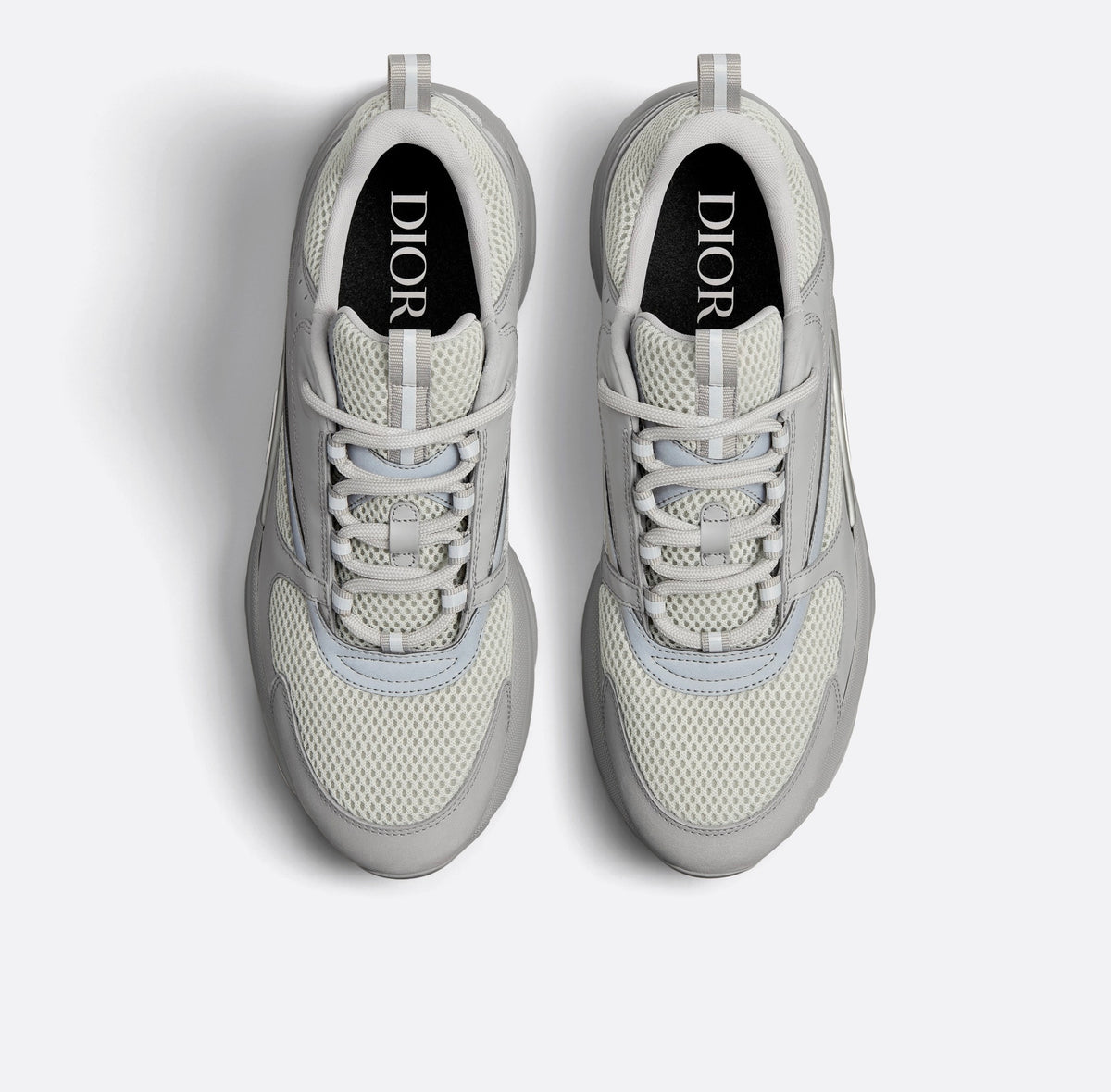 Dior B22