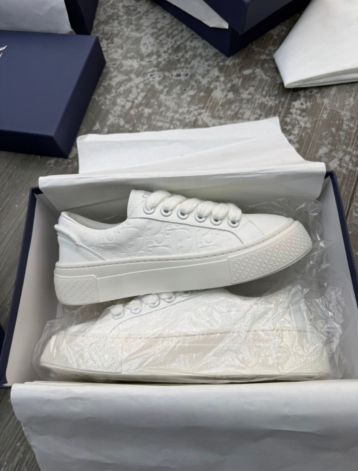 Dior B33