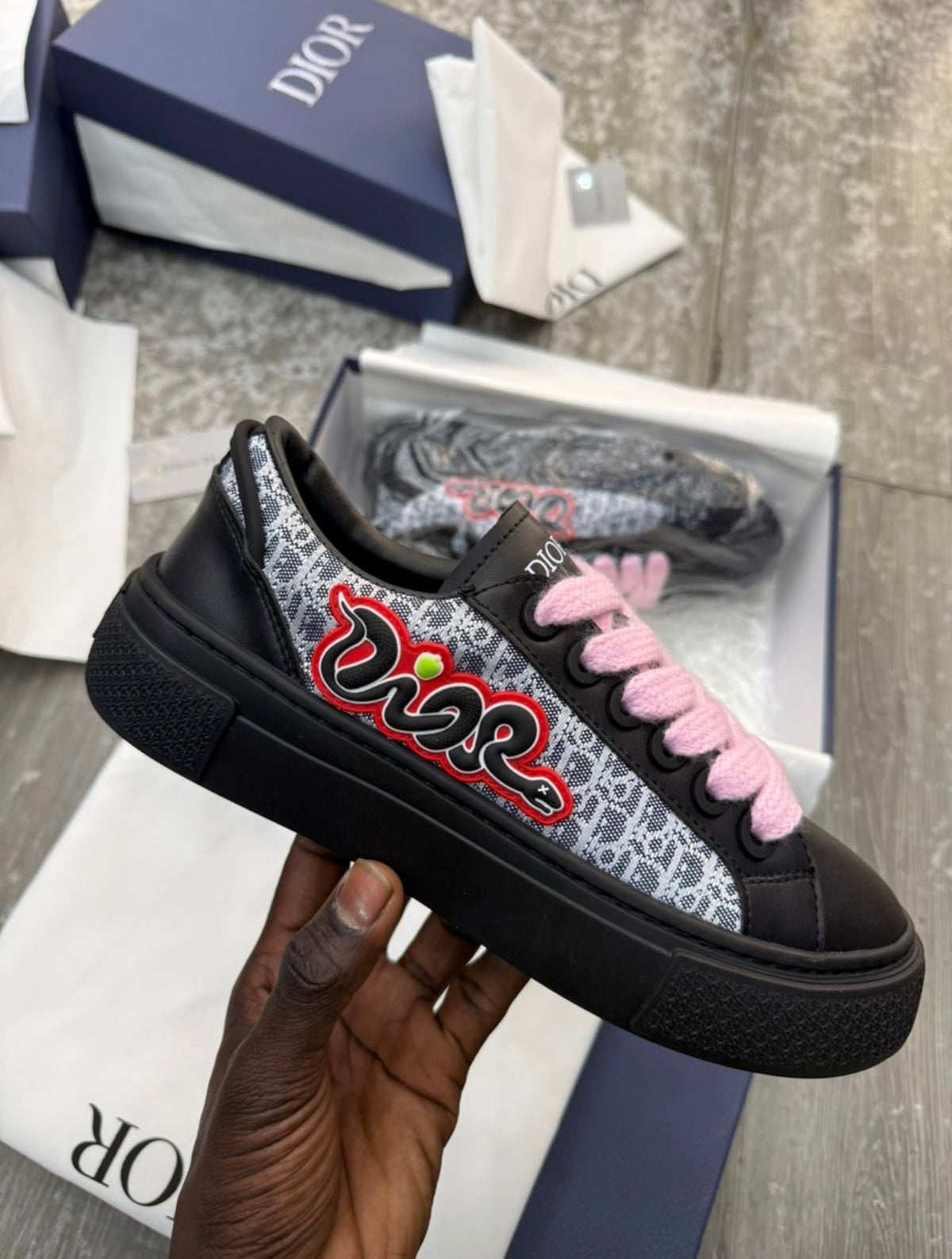 Dior B33 x Kaws