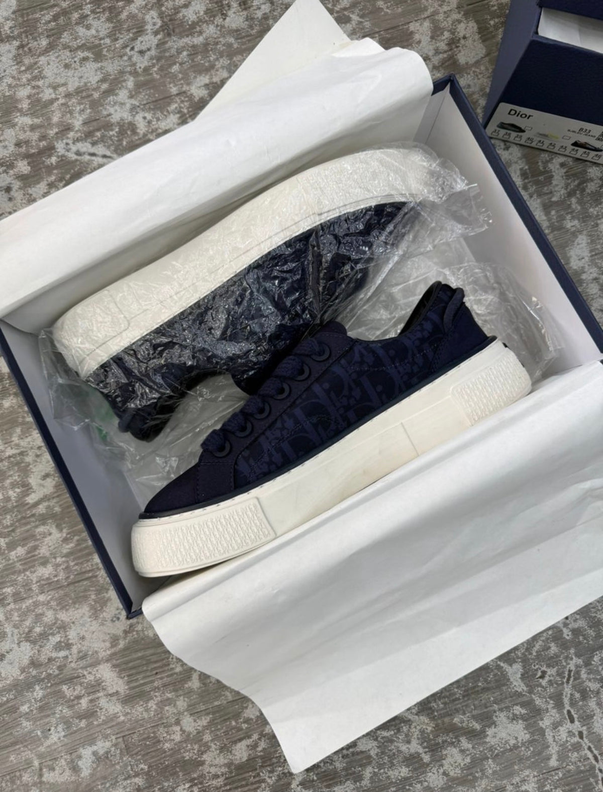 Dior B33