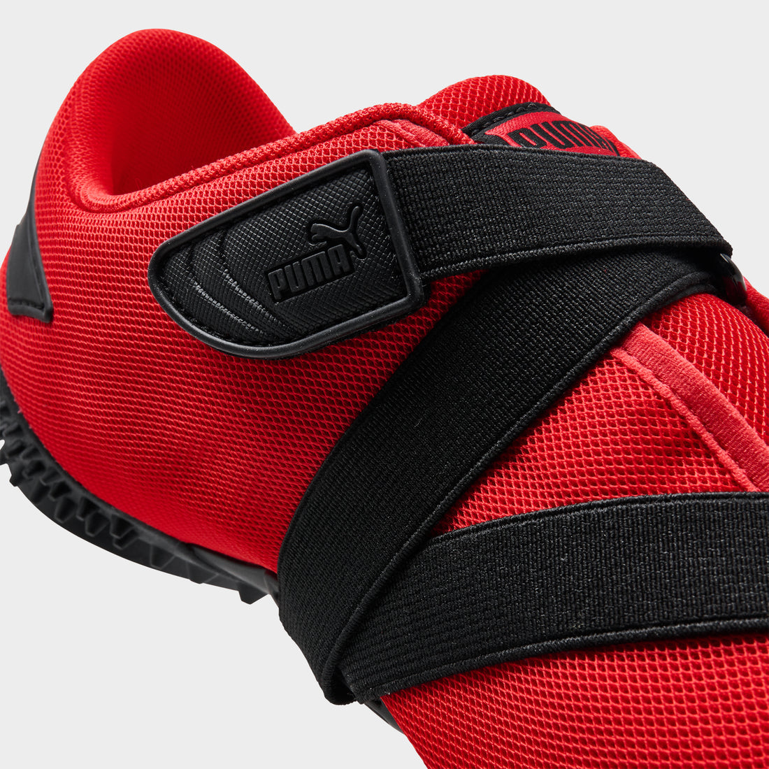 Puma Mostro