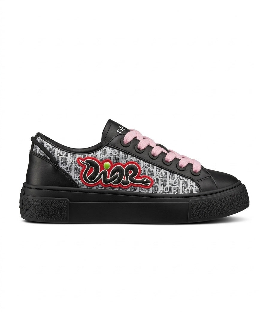 Dior B33 x Kaws